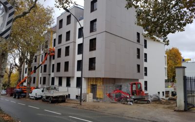 Koala au service de Korian – étude de K