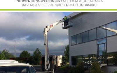 Le Savoir-Faire Koala en image