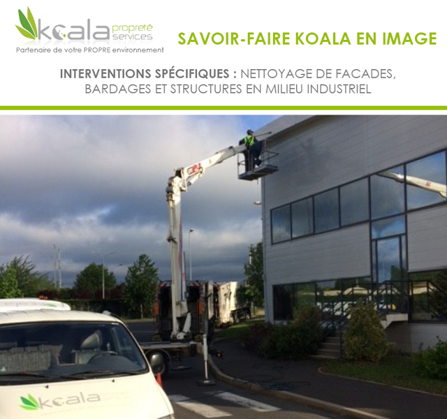 Le Savoir-Faire Koala en image